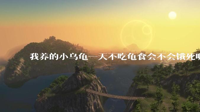 我养的小乌龟一天不吃龟食会不会饿死呢？