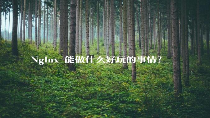 Nginx 能做什么好玩的事情？