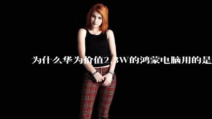 为什么华为价值2.3W的鸿蒙电脑用的是美国西数的SN740固态硬盘？
