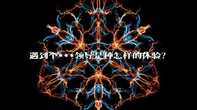 遇到个***领导是种怎样的体验？