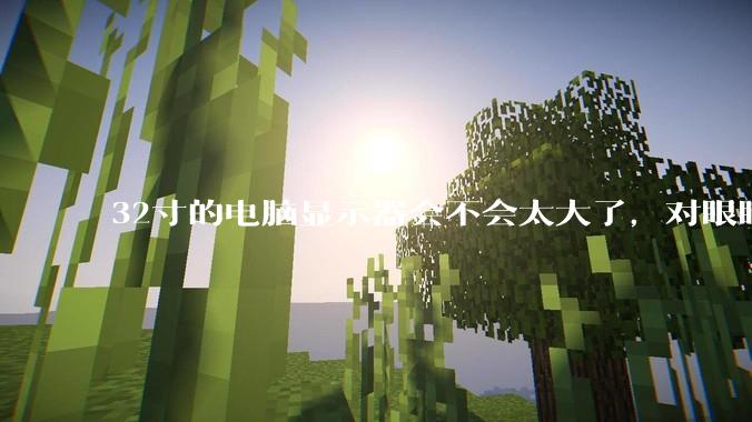 32寸的电脑显示器会不会太大了，对眼睛好不好？