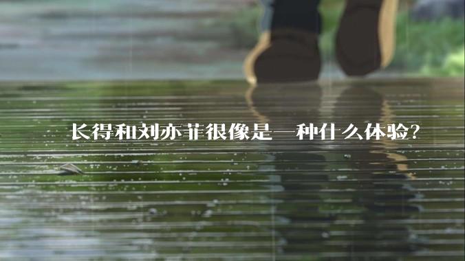 长得和刘亦菲很像是一种什么体验？