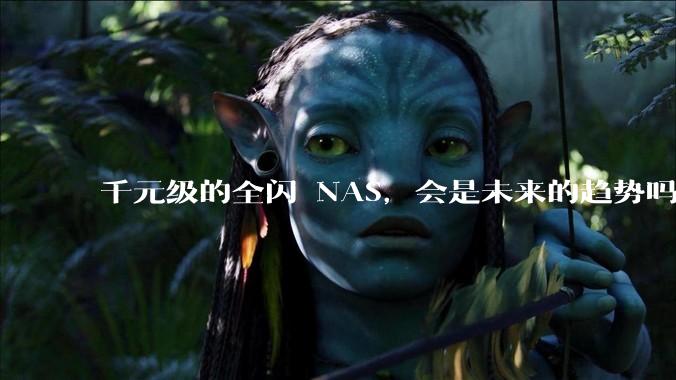 千元级的全闪 NAS，会是未来的趋势吗？