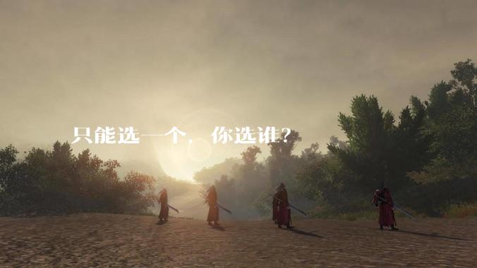 只能选一个，你选谁？