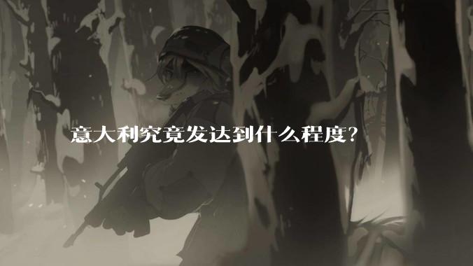 意大利究竟发达到什么程度？
