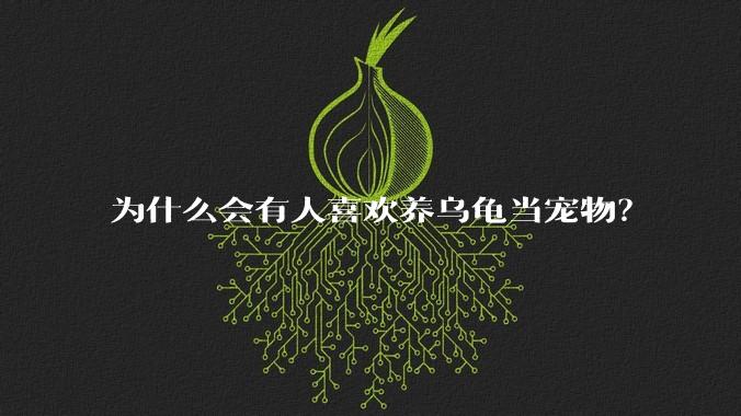 为什么会有人喜欢养乌龟当宠物？
