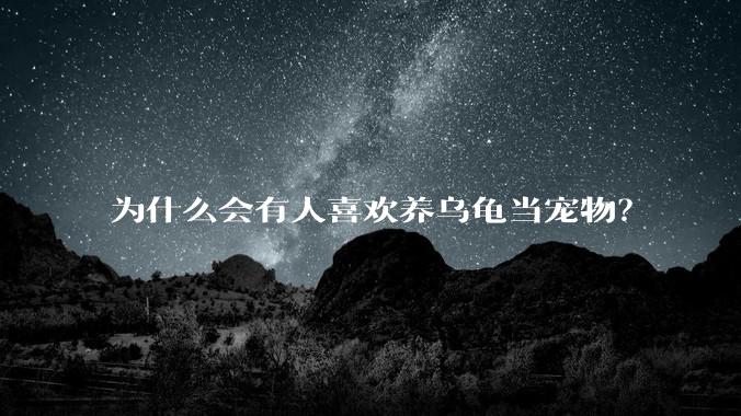 为什么会有人喜欢养乌龟当宠物？