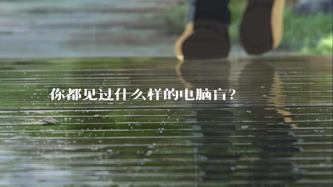 你都见过什么样的电脑盲？