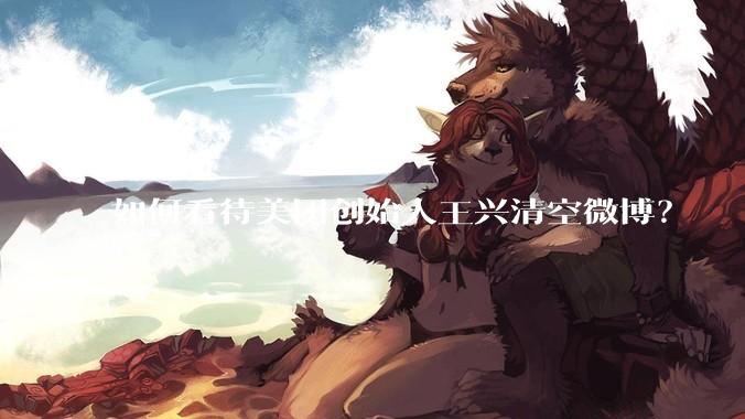 如何看待美团创始人王兴清空微博？