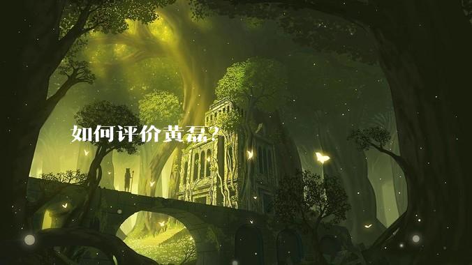 如何评价黄磊？