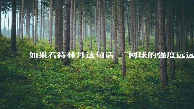 如果看待林丹这句话 “网球的强度远远没有羽毛球大”?