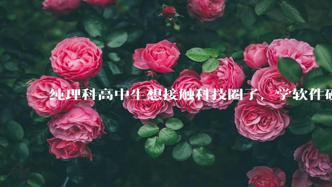 纯理科高中生想接触科技圈子，学软件硬件编程，有空自己造点东西。问问各位大佬从哪里开始了解，入门，动手？