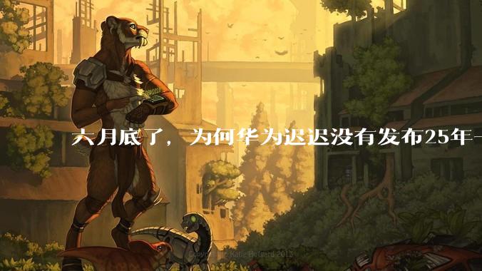 六月底了，为何华为迟迟没有发布25年一季度财报？