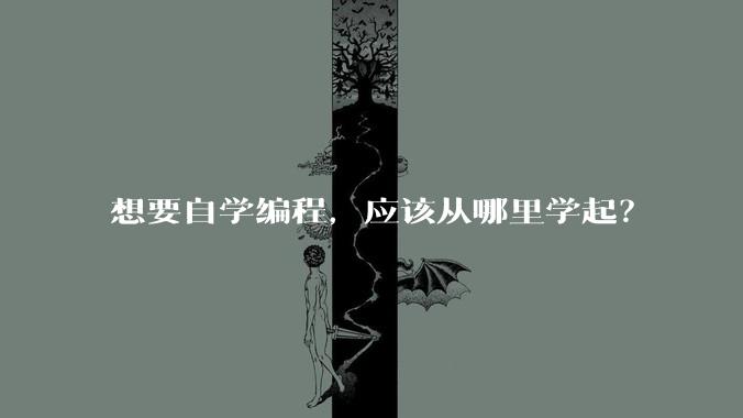 想要自学编程，应该从哪里学起？