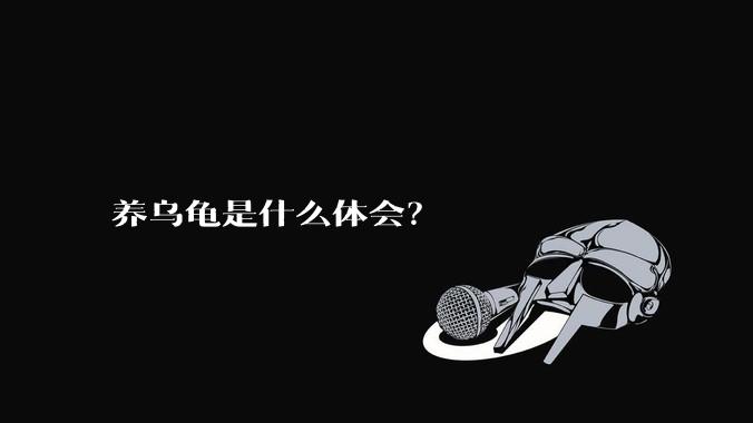 养乌龟是什么体会？
