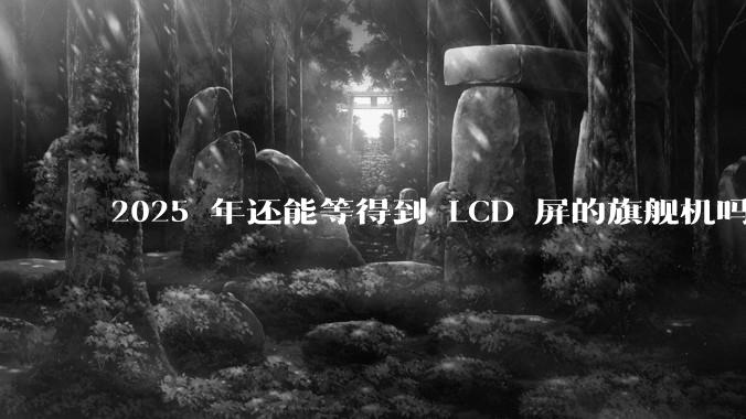 2025 年还能等得到 LCD 屏的旗舰机吗？
