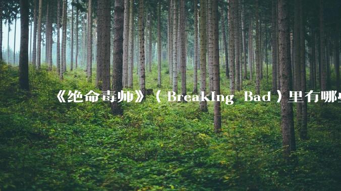 《绝命毒师》（Breaking Bad）里有哪些硬伤？