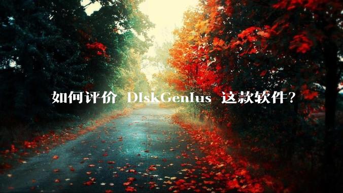 如何评价 DiskGenius 这款软件？