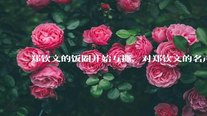 郑钦文的饭圈开始互撕，对郑钦文的名声有什么影响？郑钦文超话是否应该关闭?