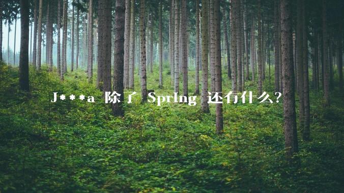 J***a 除了 Spring 还有什么？