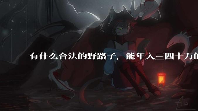 有什么合法的野路子，能年入三四十万的？