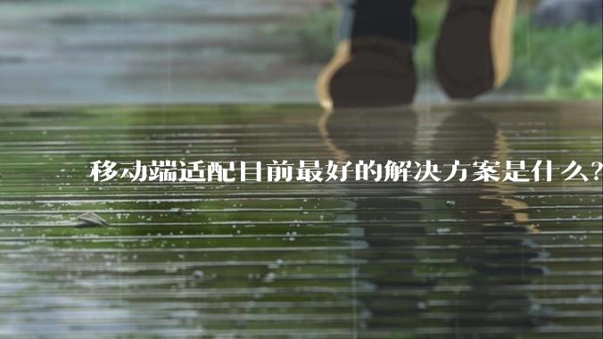 移动端适配目前最好的解决方案是什么？