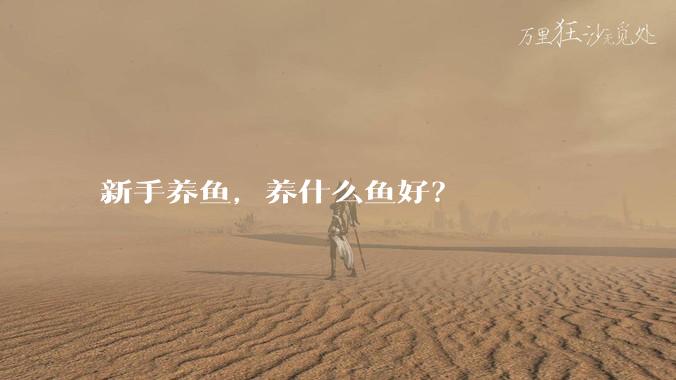 新手养鱼，养什么鱼好？
