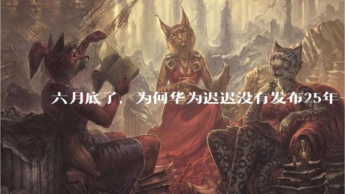 六月底了，为何华为迟迟没有发布25年一季度财报？