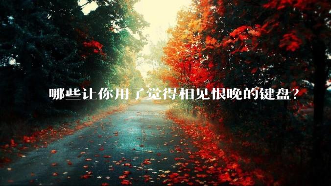 哪些让你用了觉得相见恨晚的键盘？