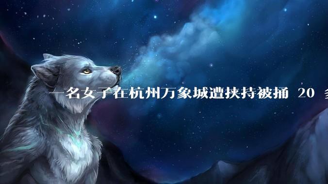 一名女子在杭州万象城遭挟持被捅 20 多刀，隆胸***体救了一命，这反映出哪些公安系统的问题？