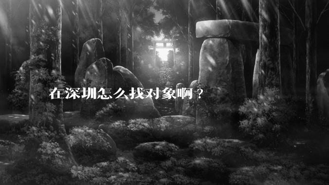 在深圳怎么找对象啊?