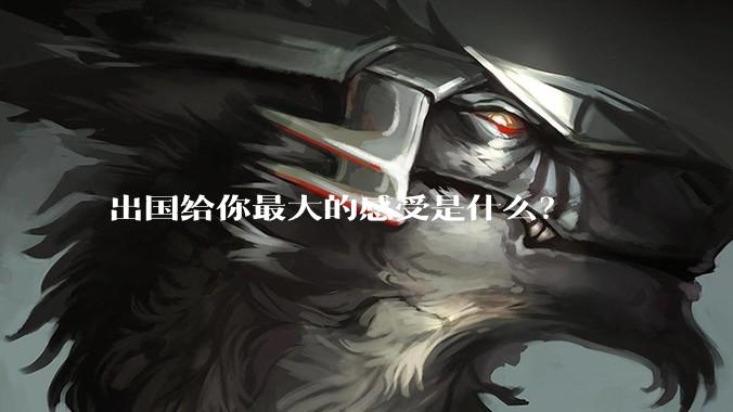 出国给你最大的感受是什么？