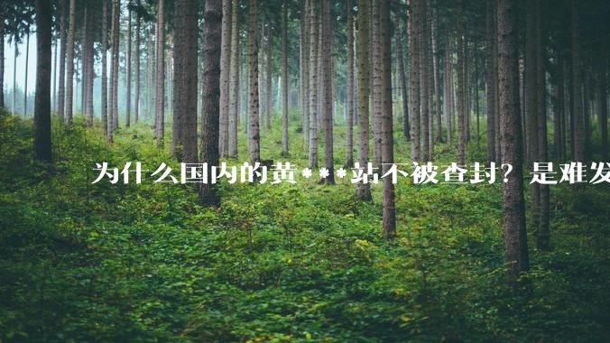 为什么国内的黄***站不被查封？是难发现吗？