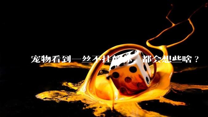 宠物看到一丝不挂的你, 都会想些啥?