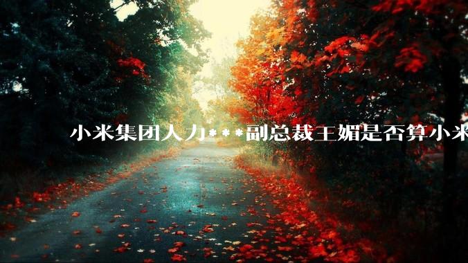 小米集团人力***副总裁王媚是否算小米集团高管？