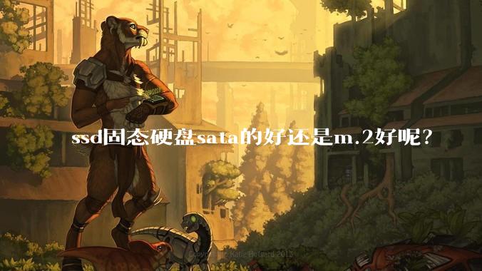 ssd固态硬盘sata的好还是m.2好呢？