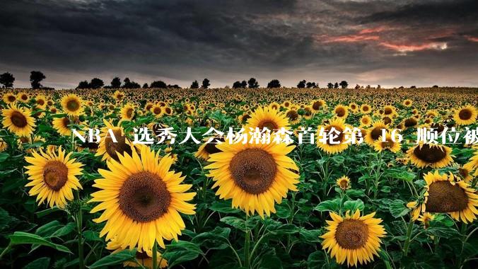 NBA 选秀大会杨瀚森首轮第 16 顺位被开拓者选中，他的实力能在开拓者队进入轮换吗？发展前景怎么样？