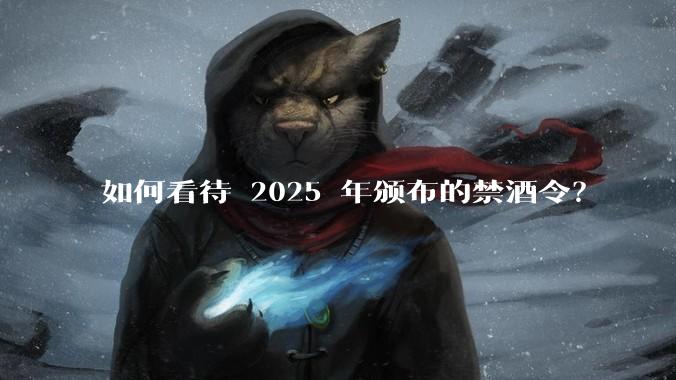 如何看待 2025 年颁布的禁酒令？