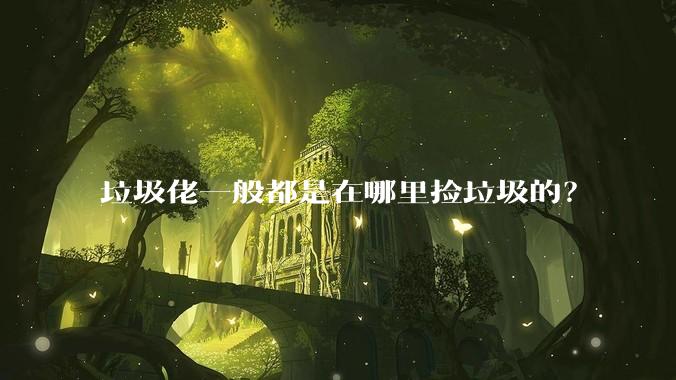 垃圾佬一般都是在哪里捡垃圾的？