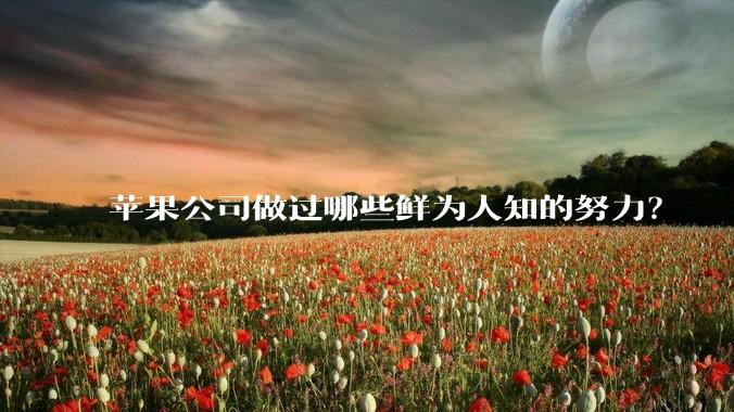 苹果公司做过哪些鲜为人知的努力？