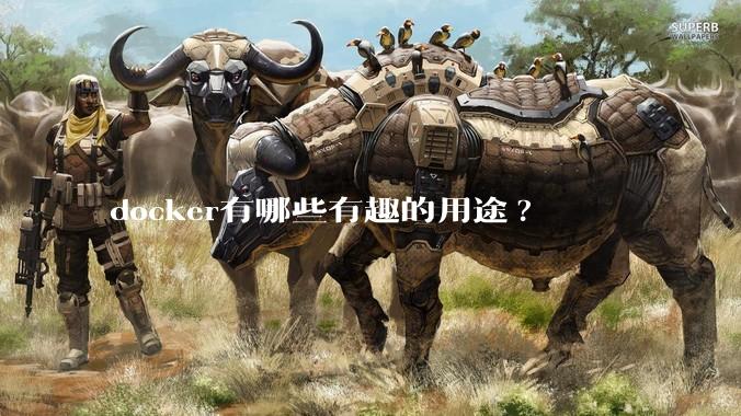 docker有哪些有趣的用途?