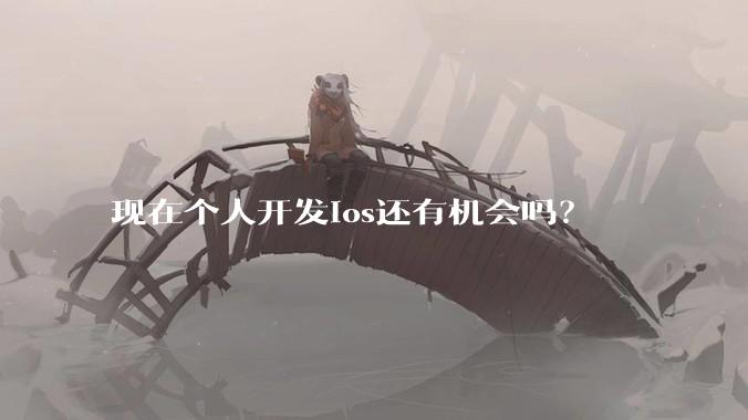 现在个人开发ios还有机会吗？