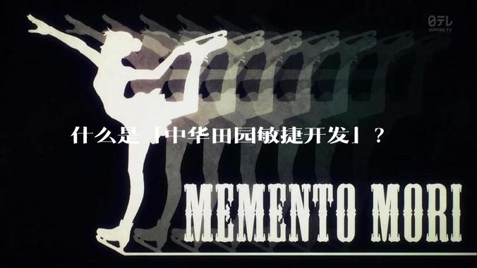 什么是「中华田园敏捷开发」？