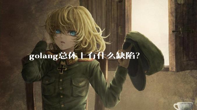 golang总体上有什么缺陷？
