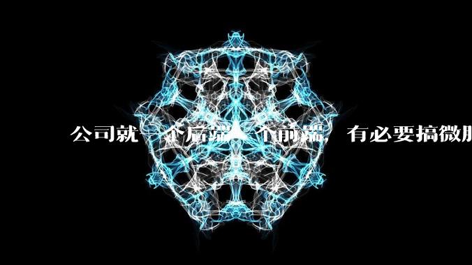 公司就一个后端一个前端，有必要搞微服务吗？