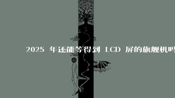 2025 年还能等得到 LCD 屏的旗舰机吗？