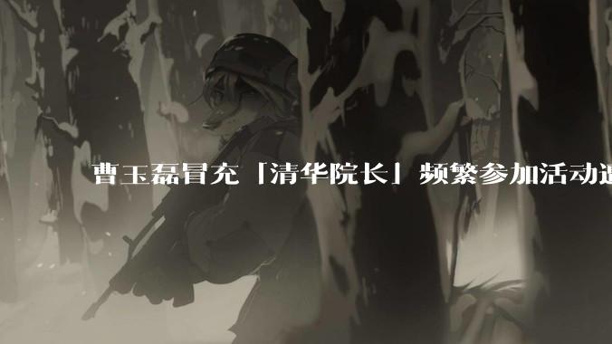 曹玉磊冒充「清华院长」频繁参加活动遭官方打***，他为何能堂而皇之以***身份开展活动？其将受到哪些处罚？