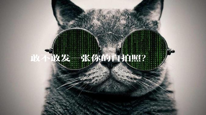 敢不敢发一张你的自拍照？