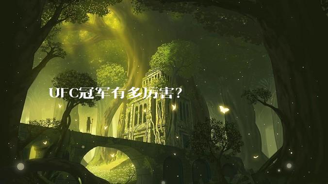 UFC冠军有多厉害？