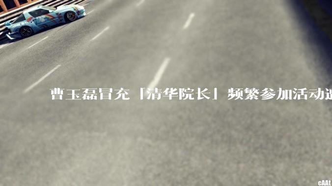 曹玉磊冒充「清华院长」频繁参加活动遭官方打***，他为何能堂而皇之以***身份开展活动？其将受到哪些处罚？